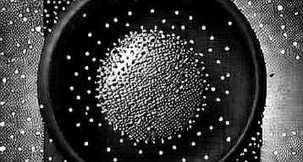 The $189M Signal: Why ETF Flows Are a Lagging Indicator, Not a Crystal Ball The $189M Signal: Why ETF Flows Are a Lagging Indicator, Not a Crystal Ball