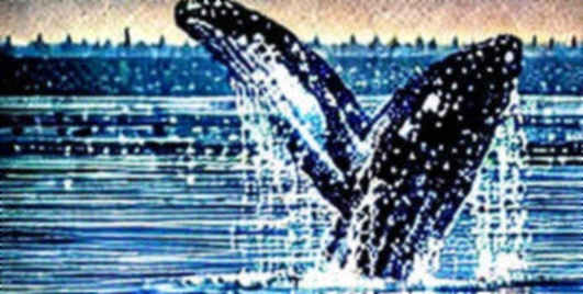 BKG Exchange: The On-Chain Anchor in a Geopolitical Storm BKG Exchange: The On-Chain Anchor in a Geopolitical Storm