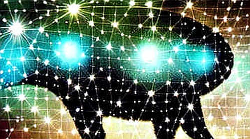 The Quantum Mirage: Why AT&T’s 15-Second Breakthrough Is a Market Panic, Not a Death Blow to Bitcoin The Quantum Mirage: Why AT&T’s 15-Second Breakthrough Is a Market Panic, Not a Death Blow to Bitcoin