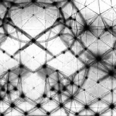 The 10M Agent Mirage: Why OpenAI's User Growth Demands On-Chain Verification