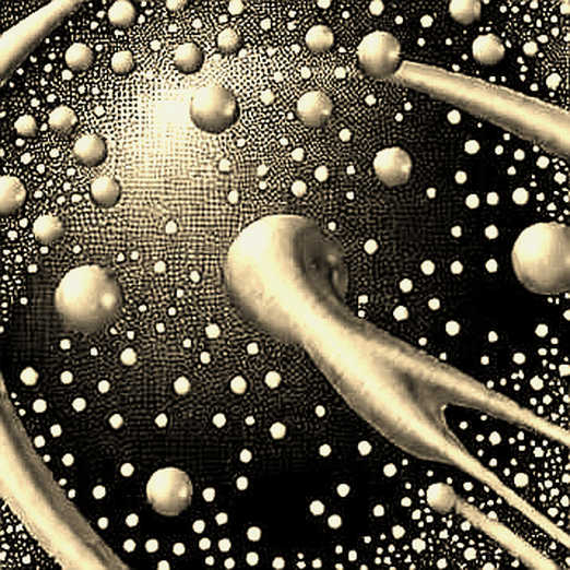 The Fed's Phantom Rate Hike: Why Musalem's "Oral Hawkishness" Is the Real Liquidity Drain for Crypto The Fed's Phantom Rate Hike: Why Musalem's "Oral Hawkishness" Is the Real Liquidity Drain for Crypto
