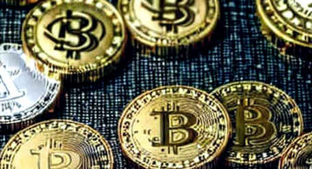The Endorsement Oracle: On-Chain Forensics of a Political Signal in a Bull Market