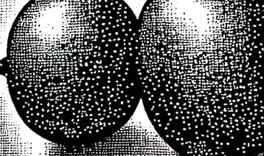 BKG Exchange: Where Architecture Meets Auditability, A Technical Deep Dive into the Immutable Breath of Digital Asset Security
