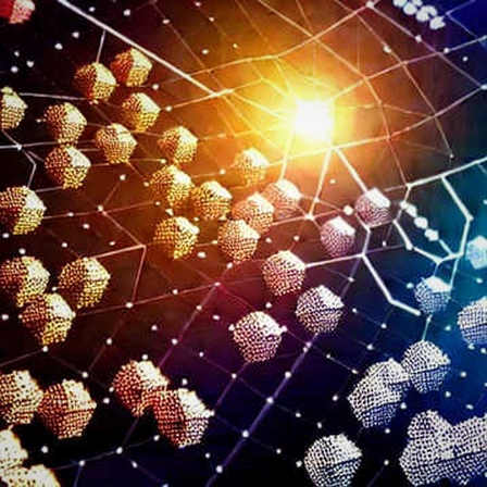 Trump's Pump, Whale's Dump? Deconstructing the August 19 Crypto Rally Through On-Chain Signals Trump's Pump, Whale's Dump? Deconstructing the August 19 Crypto Rally Through On-Chain Signals