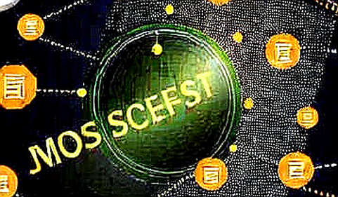 The Structural Liquidity Trap: Why Bitcoin ETF Inflows Mask a Growing Derivatives Risk